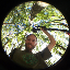 Macek Martin's avatar